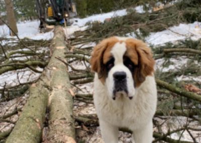 Flawless Concrete Service